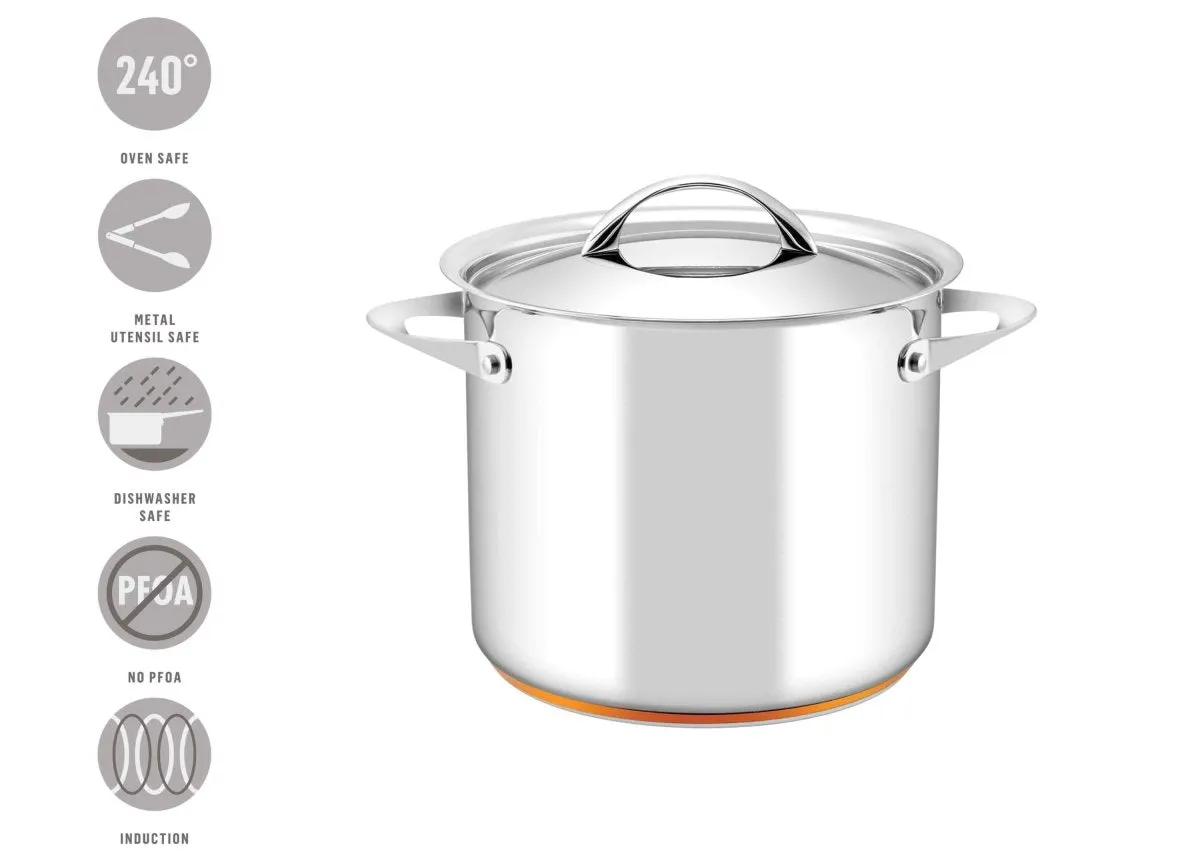 Essteele Per Vita Copper Base Stainless Steel Induction Covered Stockpot 24cm (9L)