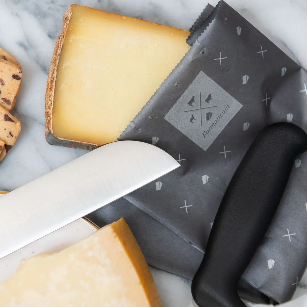 Professional Cheese Knife - Plastic Handle