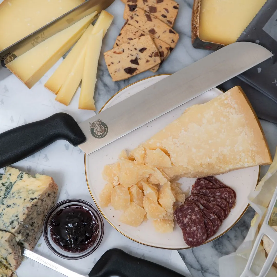 Professional Cheese Knife - Plastic Handle